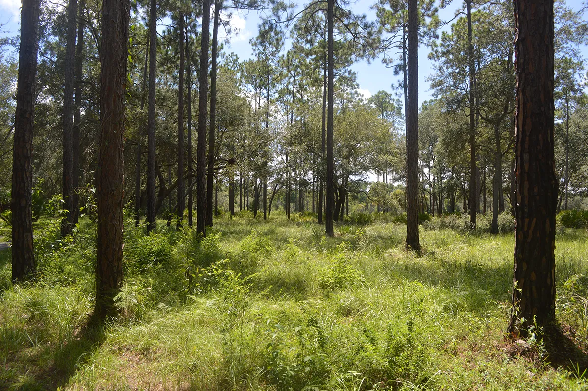 FDOT First Coast Single Owner Large Property Ground Photo