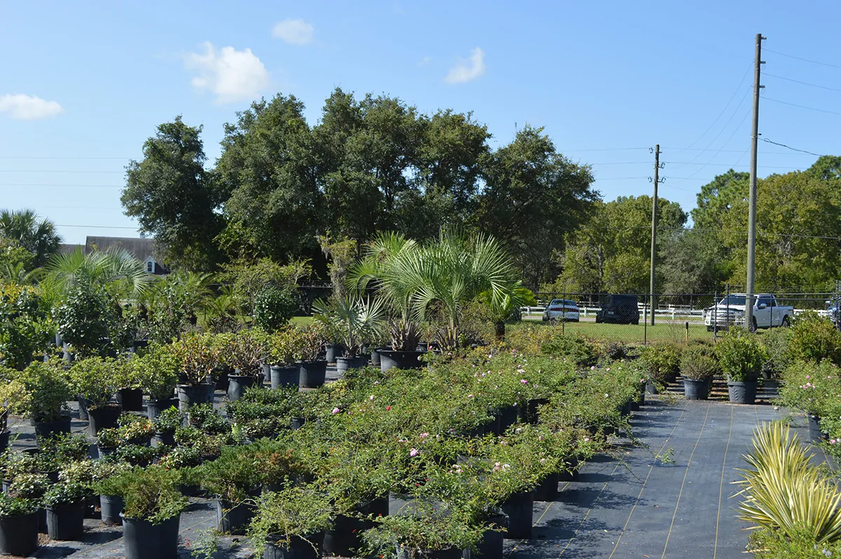 FDOT Wekiva Pkwy Garden Rebel