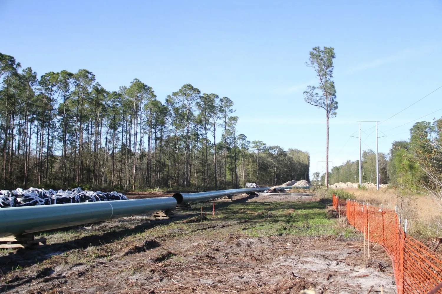 Jury Panel Rejects Sabal Trail Transmission’s Zero Damages