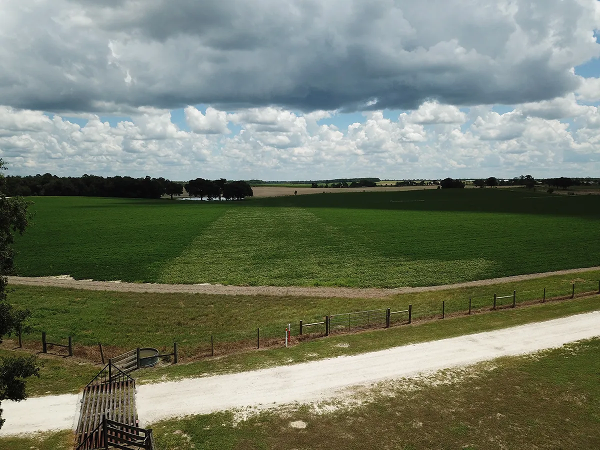 Sabal Trail 837 acre fam farm photo