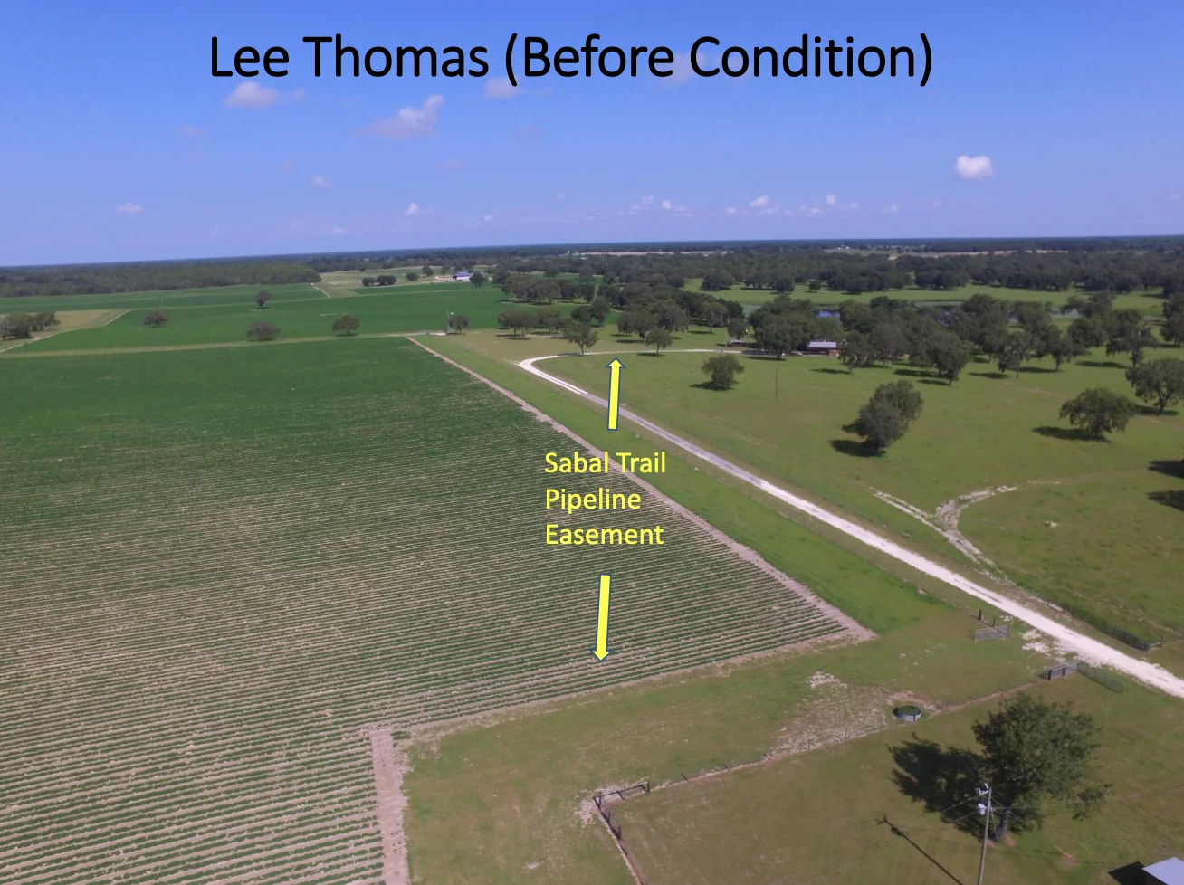 Lee Thomas - Sabal Trail Pipeline Easement