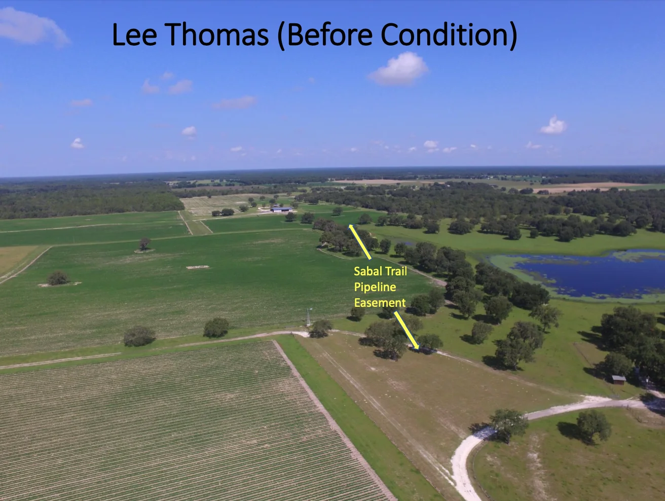 Lee Thomas - Sabal Trail Pipeline Easement