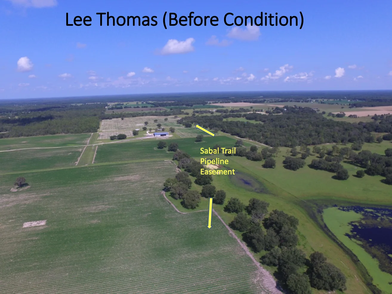 Lee Thomas - Sabal Trail Pipeline Easement