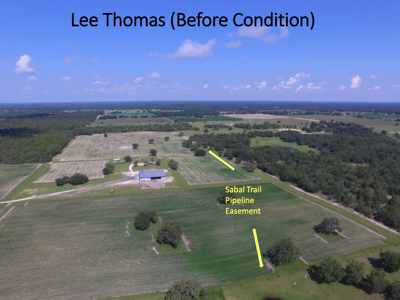 Lee Thomas - Sabal Trail Pipeline Easement