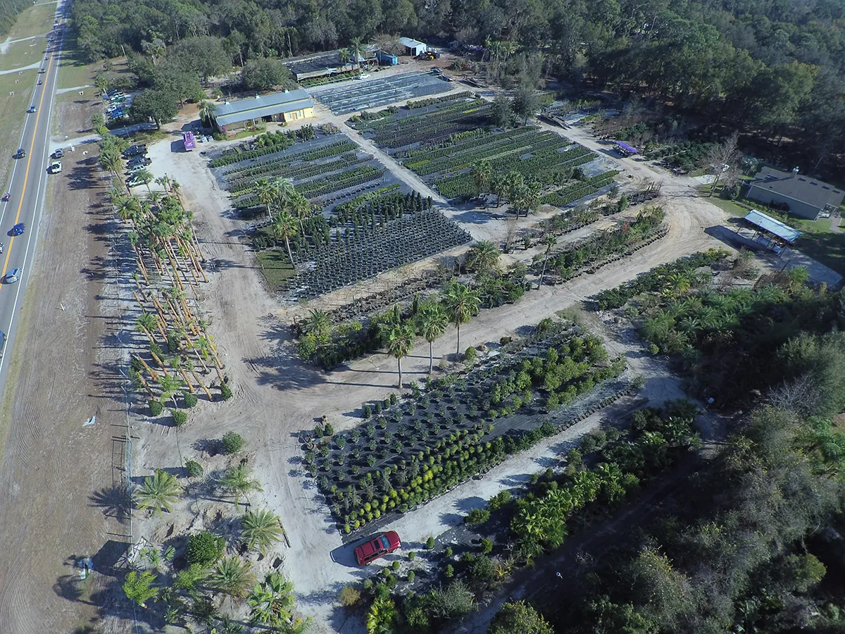 Wekiva Landscape Nursery Aerial