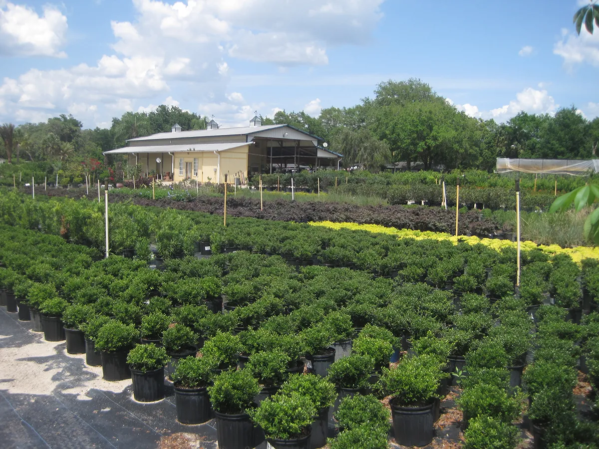 Wekiva Lanscape Nursery Ground 1